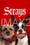 Strays (2023)