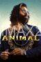 Animal (2023)